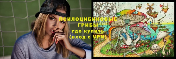 герыч Алексин