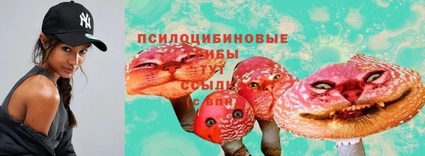 герыч Алексин