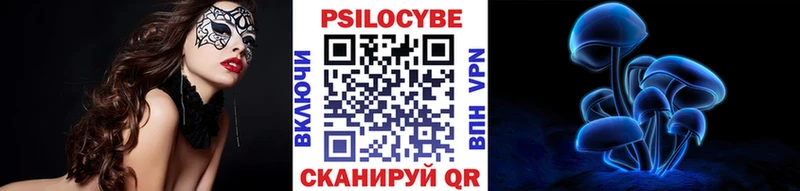 Галлюциногенные грибы Cubensis  сайты даркнета какой сайт  Анива 